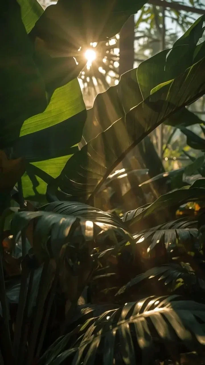 Vegetação com luz natural filtrada — Tamboré Uberlândia